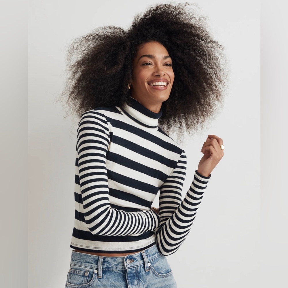 Madewell Blue & White Striped Turtleneck Sweater